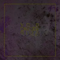 Void Cruiser - Call of the Void album cover