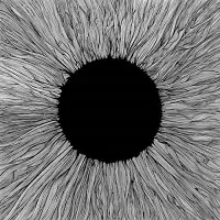 Vola - Witness album cover