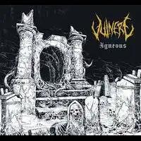 Vulnere - Igneous album cover