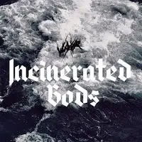 Vuyvr - Incinerated Gods album cover