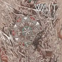 Wait - We are in Transit album cover