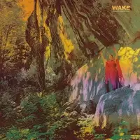 Wake - Thought Form Descent album cover