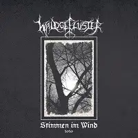 Waldgefulster - Stimmen in Wind 2020 album cover