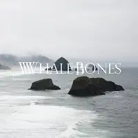 Whale Bones - The Seaside album cover