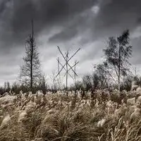 Wiegedood - De Doden Hebben Het Goed album cover