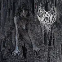 Wilczyca - DrakoNequissime album cover