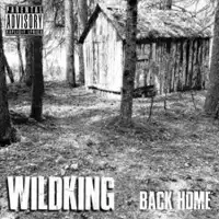 Wildking - Back Home album cover