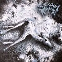 Windchimes - Enervation album cover