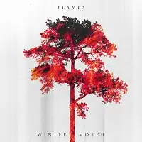 Wintermorph - Flames album cover