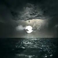 Wooden Veins - In Finitude album cover