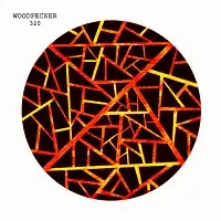 Woodpecker - 320 album cover