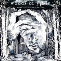 Woods Of Ypres - Woods 5 Grey Skies & Electric Light album cover