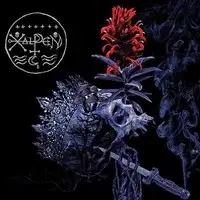 Xalpen - Black Rites album cover