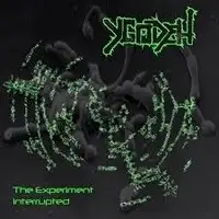 Ygodeh - The Experiment Interrupted album cover