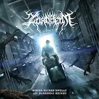 Zornheym - Where Hatred Dwells And Darkness Reigns album cover