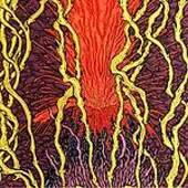 Zozobra - Harmonic Tremors album cover