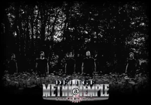 Déluge's Fran&ccedil;ois-Thibaut Hord&eacute;:"I wanted to go really further into something more "easy to listen to" but the artistic challenge was to not lose what we had