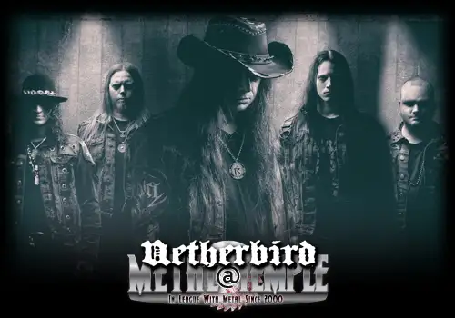 Netherbird's Pontus Andersson: "The more you try to control your creativity the less it reflects your own spirit and the more it reflects your distorted surroundings" interview