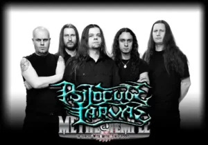 Vitaly "Larv" (Psilocybe Larvae) interview