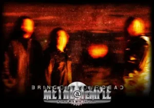 M.R. Boyd & Revered J. Nibbler (Bring Out Your Dead) interview