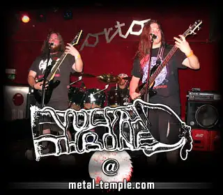 Vulvathrone interview